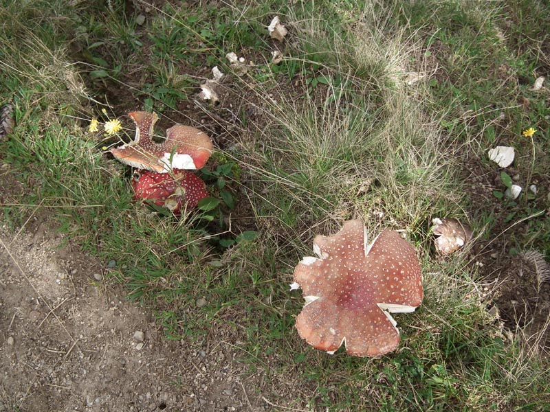052_MR_Bergwanderung_10