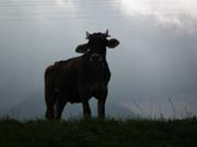 010_MR_Bergwanderung_10