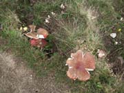 052_MR_Bergwanderung_10