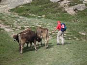 093_MR_Bergwanderung_10