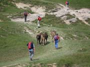094_MR_Bergwanderung_10