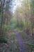 MR_VitaP11_009