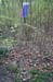 MR_VitaP11_016