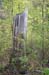 MR_VitaP11_017