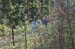 MR_VitaP11_064