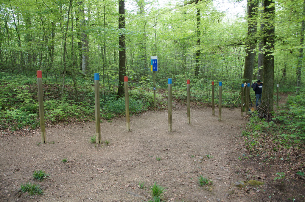 DSC02531